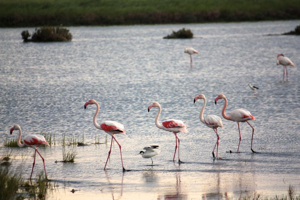 Le Saline Comacchio